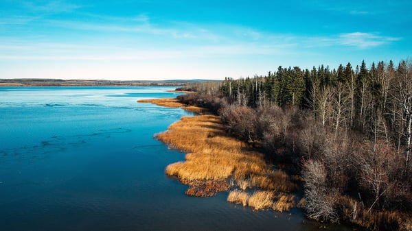 aerial-shot-of-lake-shore