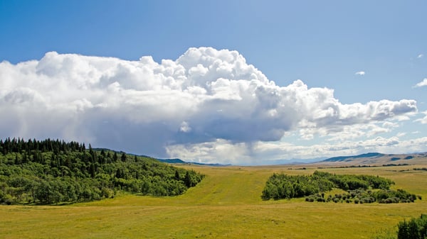 rolling-green-hills-of-alberta